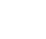 logo-weiss